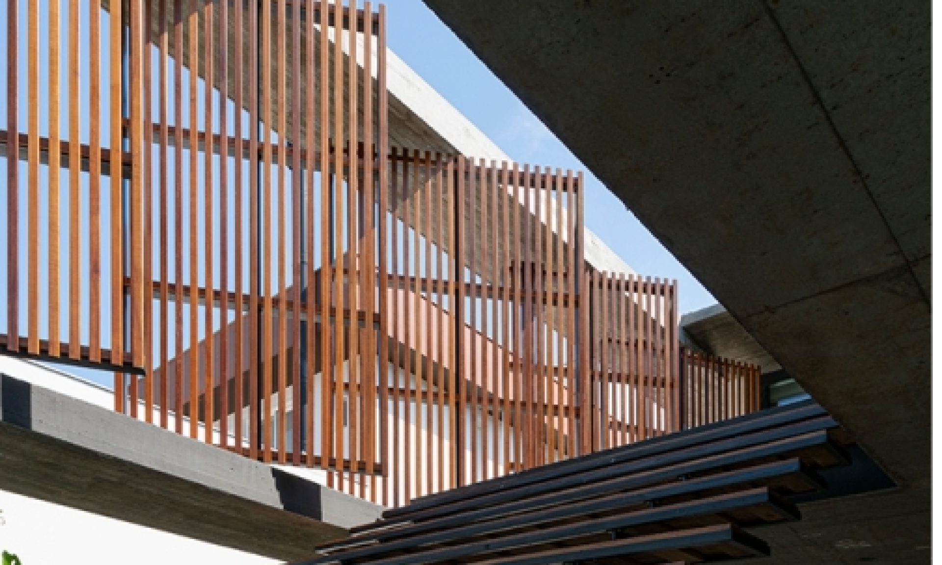 gallery-projeto-casa-patio-marchetti-bonetti 9