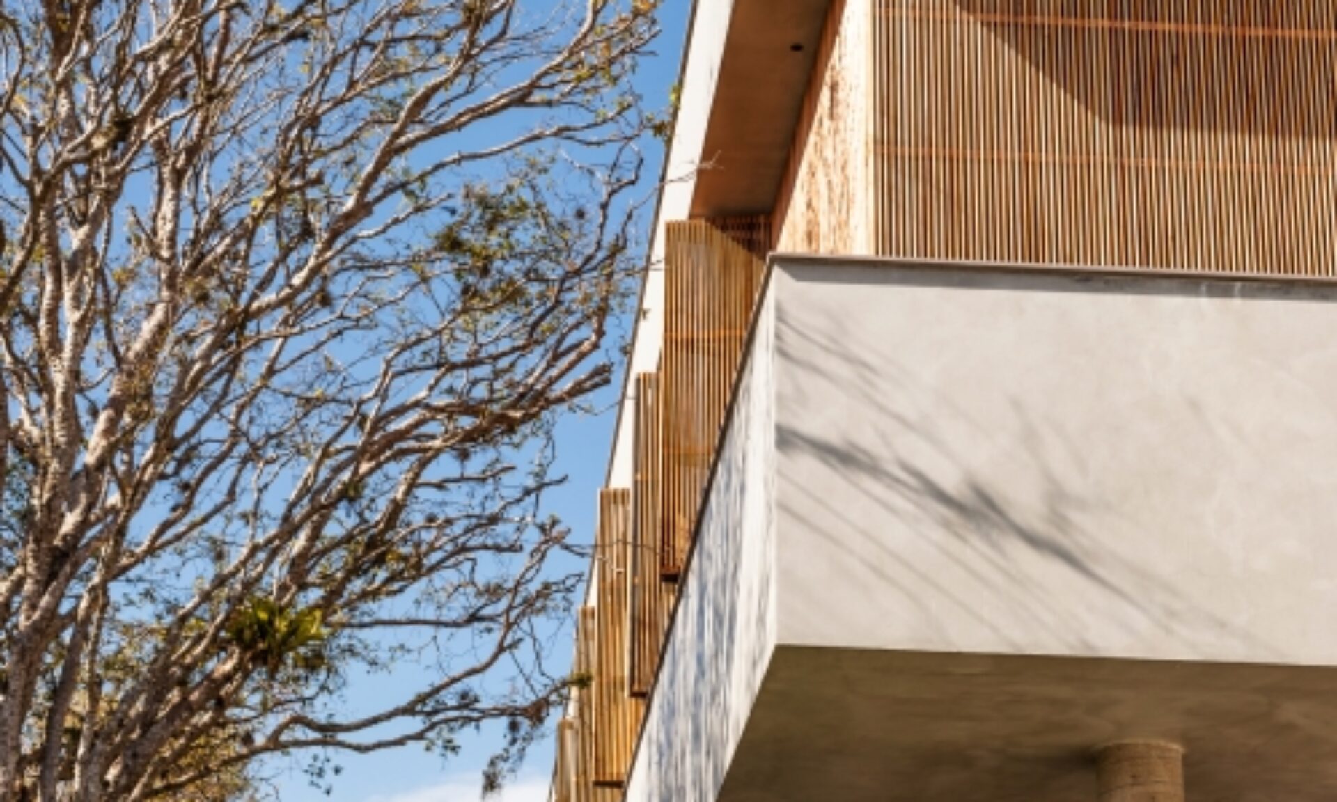 gallery-projeto-casa-premier-marchetti-bonetti 3