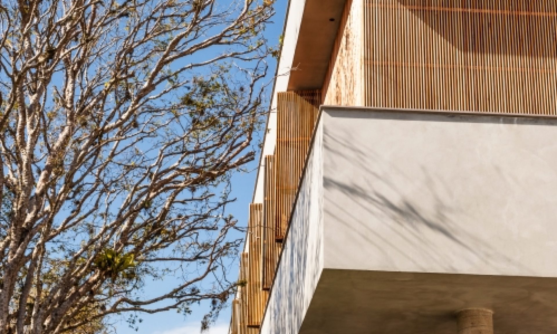 gallery-projeto-casa-premier-marchetti-bonetti 3